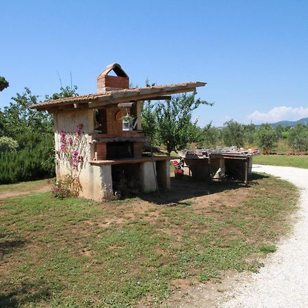 Agriturismo La Ronca San Vincenzo Dış mekan fotoğraf