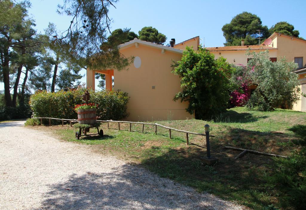 Agriturismo La Ronca San Vincenzo Dış mekan fotoğraf