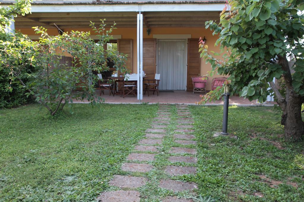 Agriturismo La Ronca San Vincenzo Oda fotoğraf